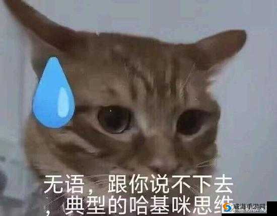 啊哈哈啊哼啊：这独特的表达方式真有趣啊