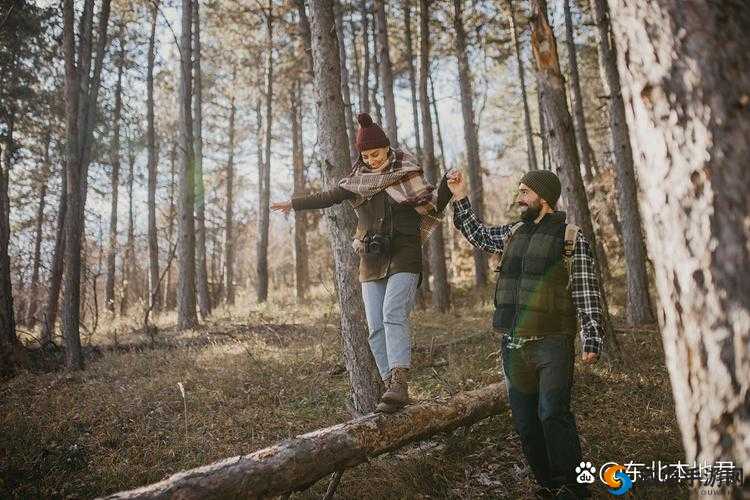 探索小森生活中的狩猎乐趣：走进自然，体验别样风情