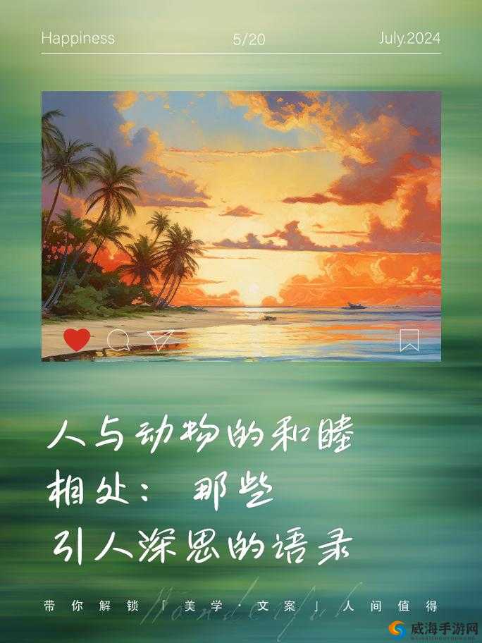 人与动物：伦理与情感的交织
