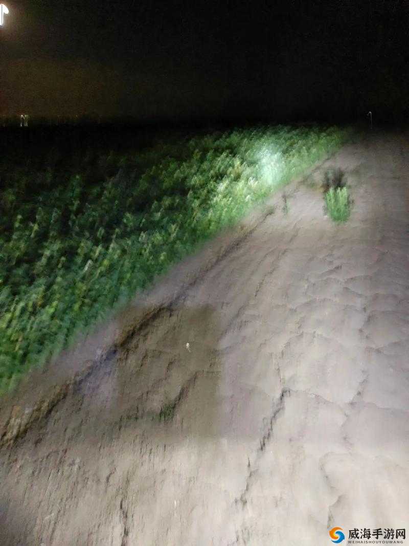 每天晚上都要耕地对生活的影响：探究其中的苦与乐