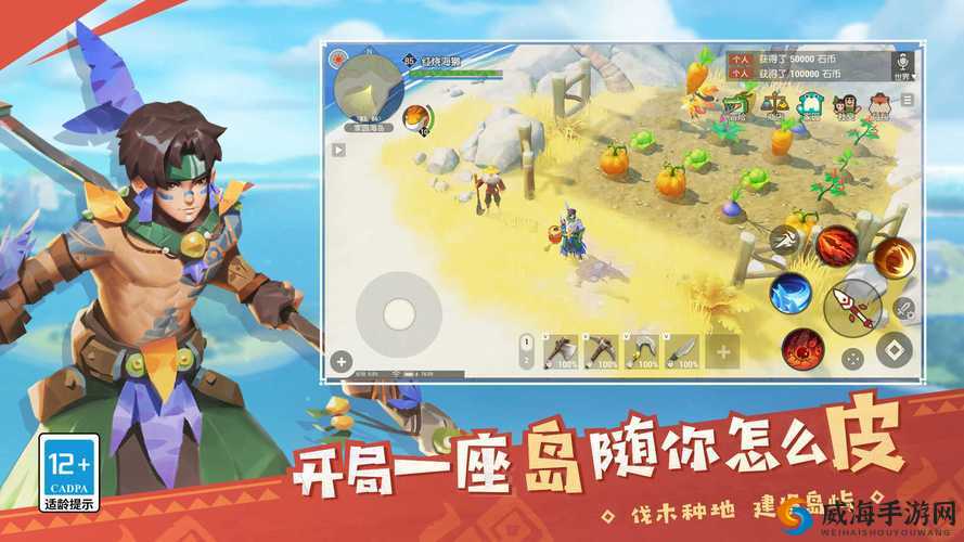 海岛纪元，探索与生存的奇妙之旅
