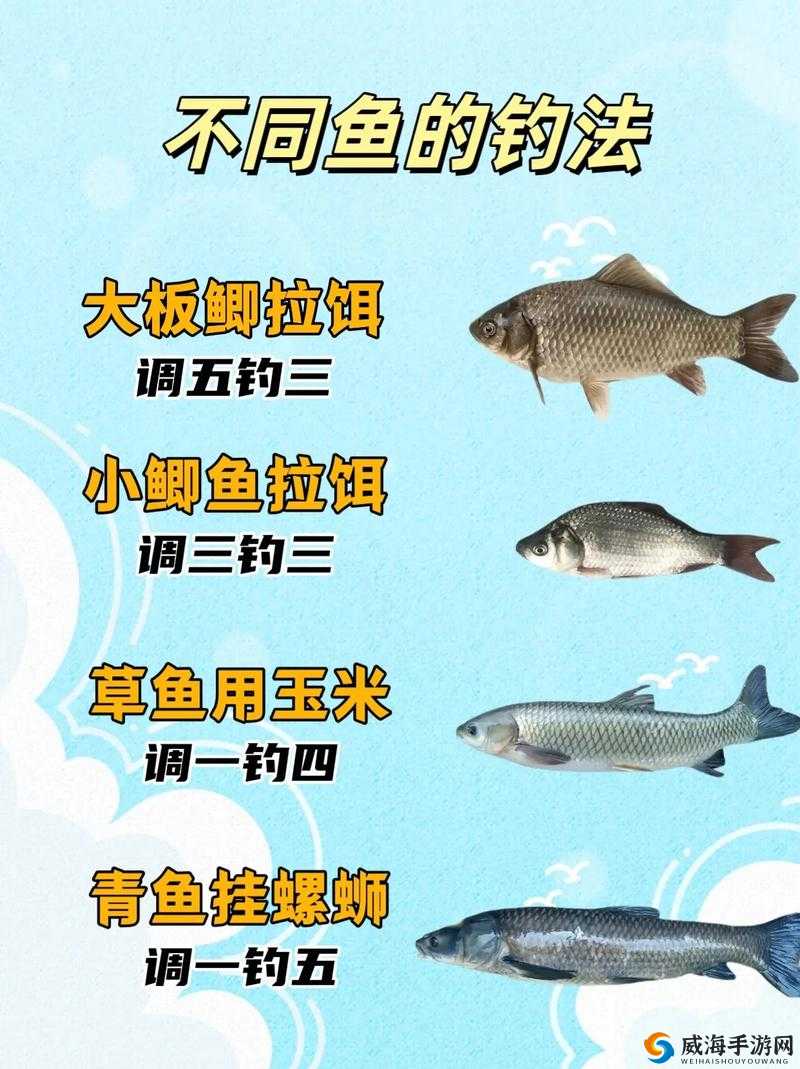 海岛纪元钓鱼技巧，如何更轻松地钓到大鱼