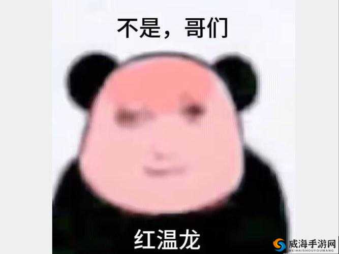 冯提莫大司马组团冒险：勇闯冒险岛