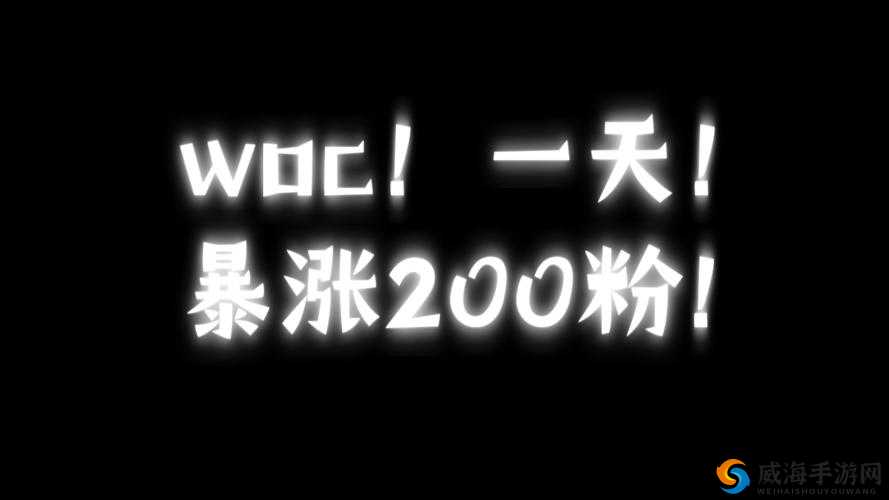 美国 XAXWAS9977777 已上线粉丝热情高涨引关注