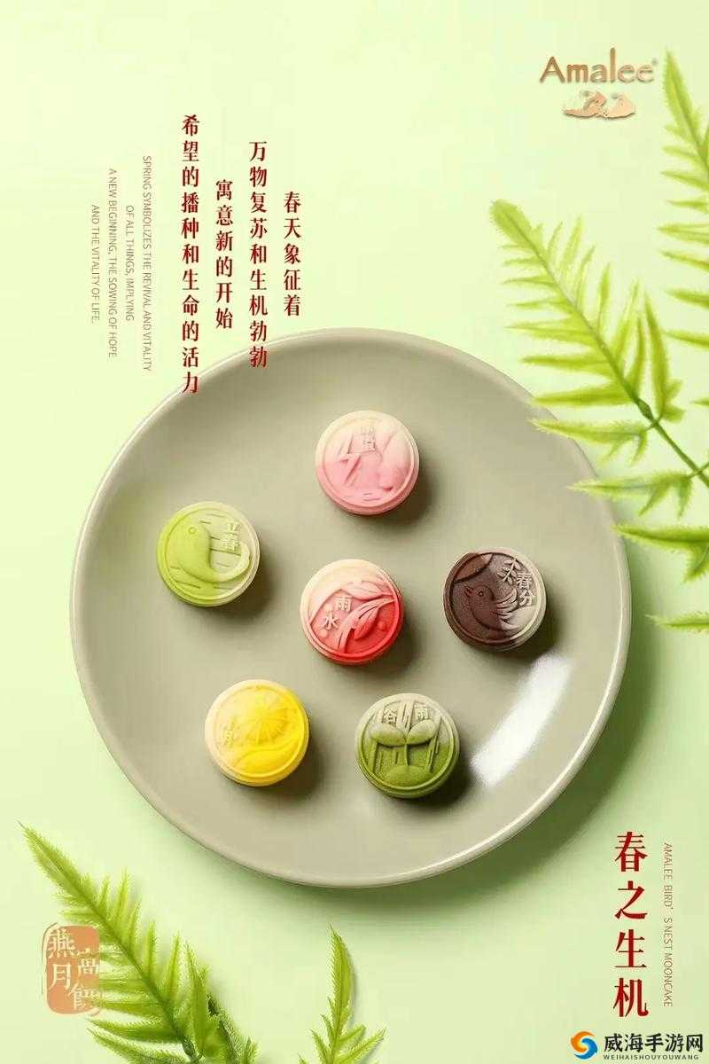 舌尖上的征服沈青訸:美食背后的传奇故事