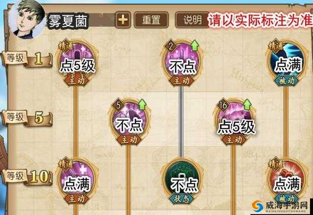 航海王燃烧意志乔巴技能加点，特效药加满的策略分析