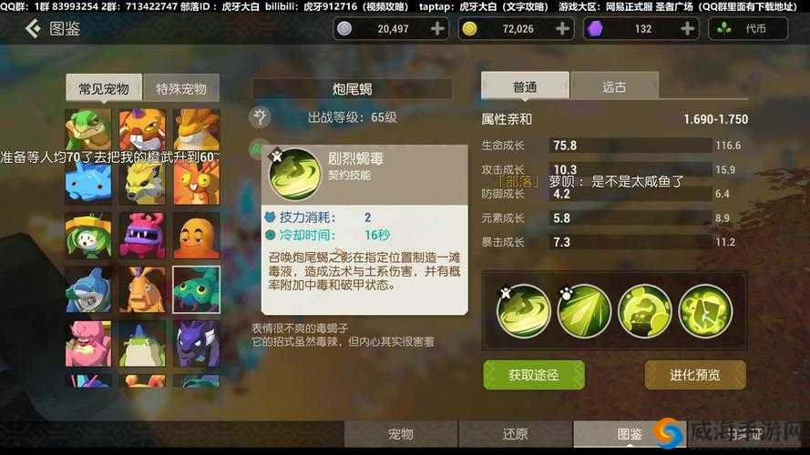海岛纪元斗士怎么样，副本必备坦克职业