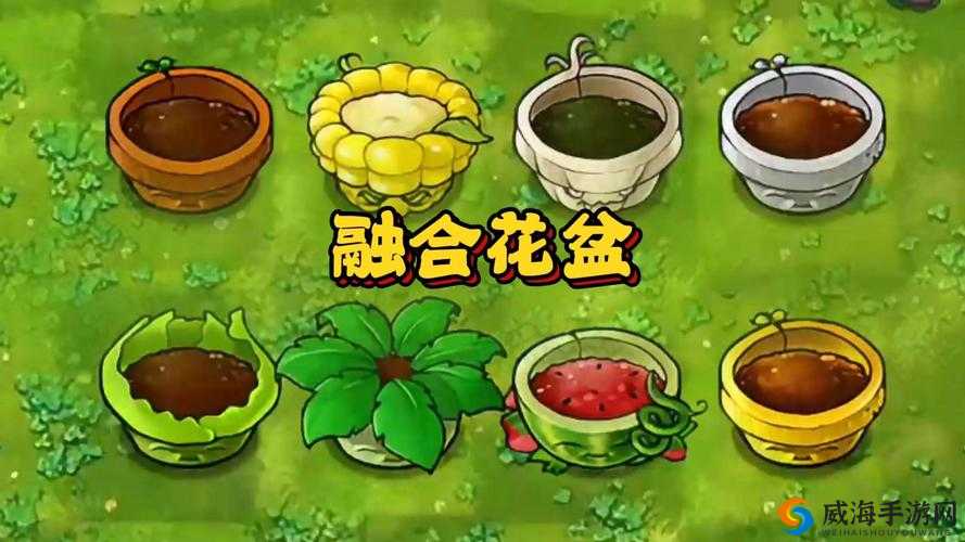 创造与魔法花盆，制作材料一览与花盆的多元价值