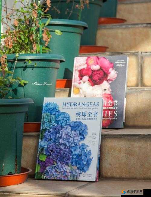 创造与魔法，花盆的园艺艺术与生活美学