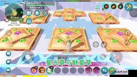 创造与魔法的绿色奇迹，苗圃的培育与魔法实践