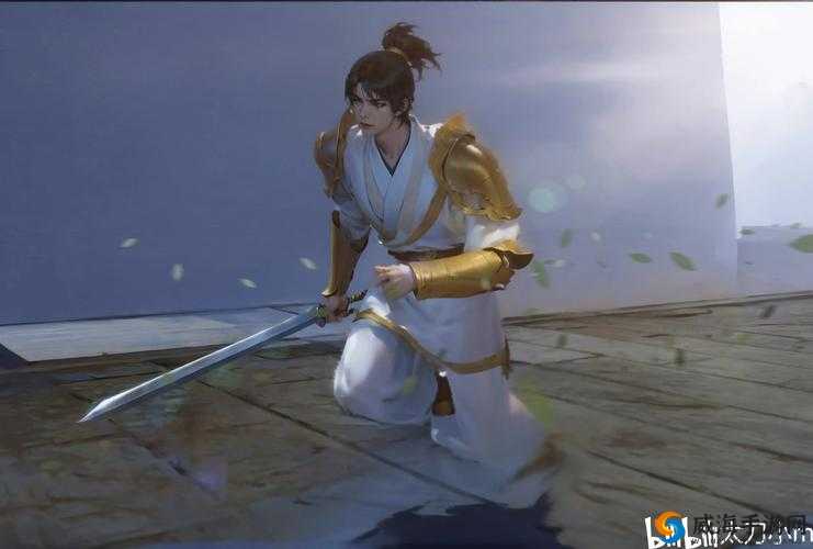 流星蝴蝶剑手游小何怎么样，深度解析小何角色图鉴在资源管理中的重要性