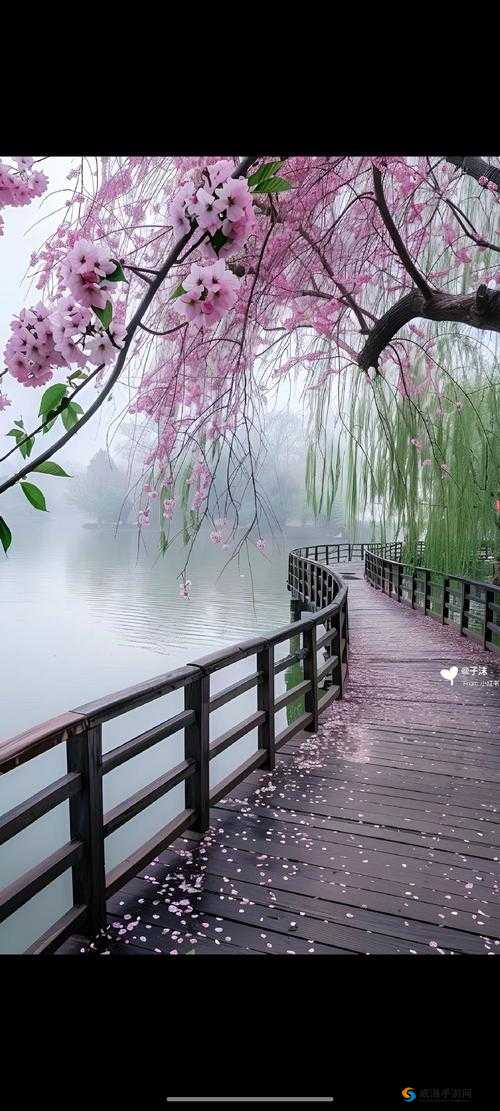 桃花深处水潺潺：探寻春日秘境中的自然美景与心灵宁静之旅