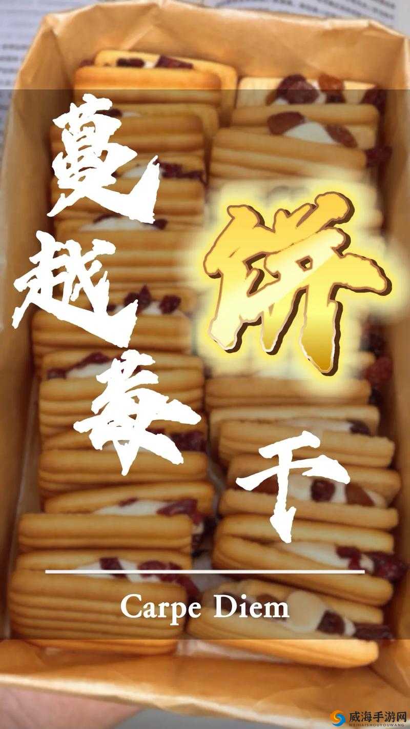 探索夹心饼干3ph的独特魅力:双龙推荐,品味与健康的完美结合