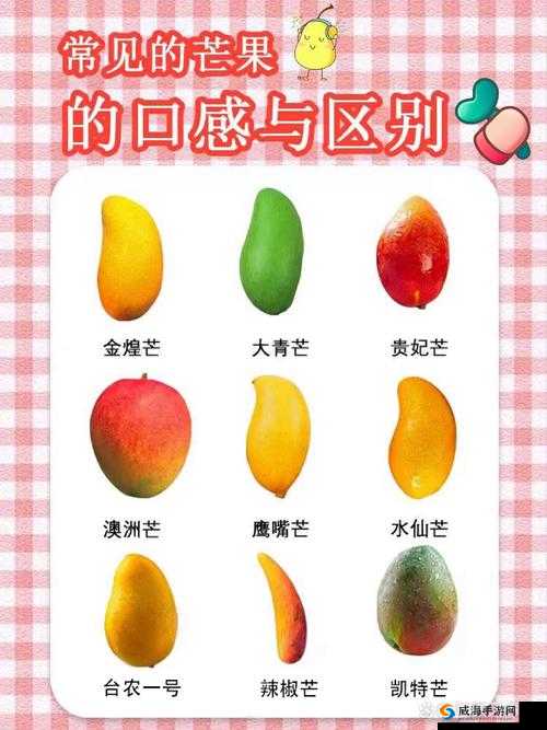 芒果日产一二三四全面解析：从产地到品质，揭秘芒果的独特魅力与市场趋势