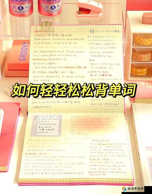 坐在学霸的鸡上背单词双楠：高效记忆法揭秘，轻松提升词汇量的秘诀