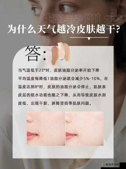 貂蝉乳液狂飙奖励自己一发：揭秘这款护肤神器的真实效果与使用心得