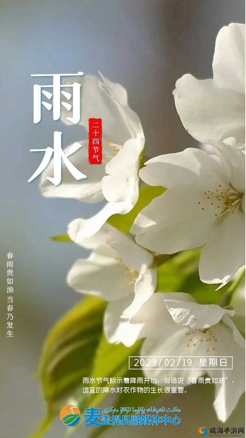 填得很满感觉春雨的滋润如何影响农作物的生长与丰收？深度解析春雨对农业的重要性