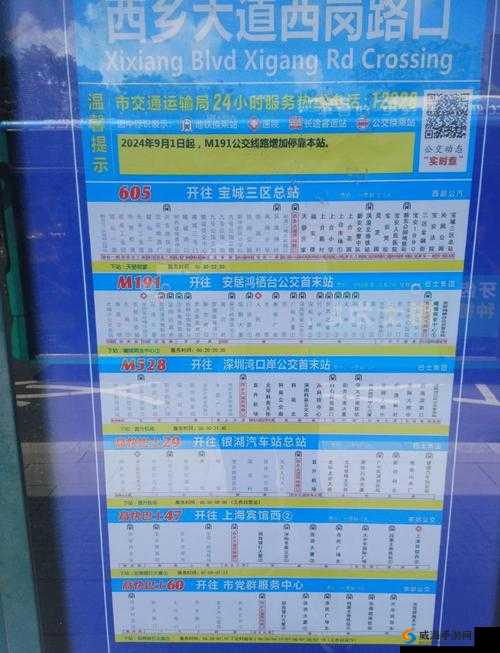 YINGDAN小镇公交车尺寸多样化揭秘：为何车型选择如此丰富？