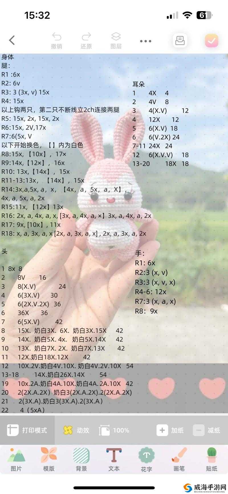 长耳兔的完美尺寸指南：如何选择适合你的长耳兔尺寸？详细解析与购买建议