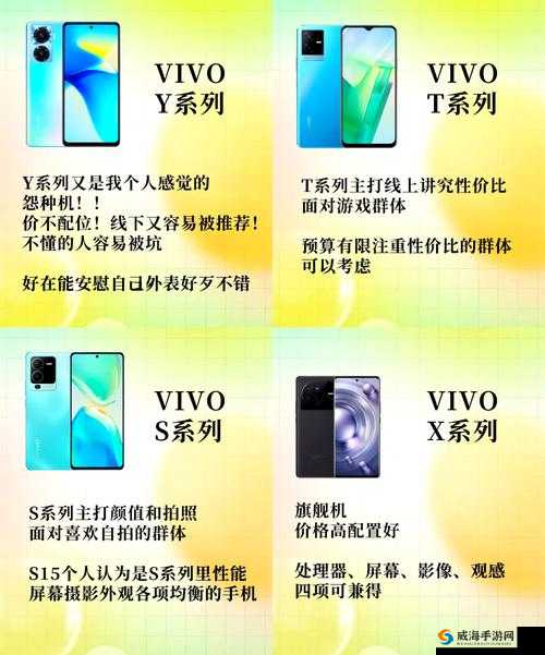 成色好的Y31与普通Y31的区别是什么？全面解析Y31不同成色的性能与使用体验