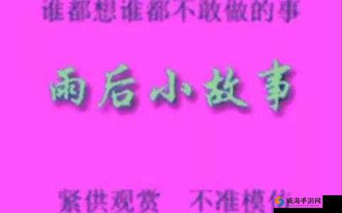 雨后的小故事2：感人至深的自然与人情交织，温暖心灵的瞬间回忆