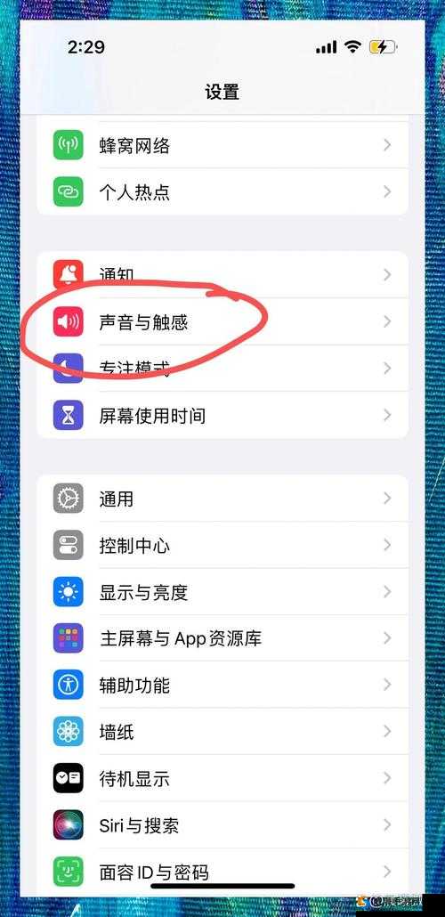 王阿姨分享使用IPHONE13的实用技巧与体验，教你如何更好地发挥手机功能
