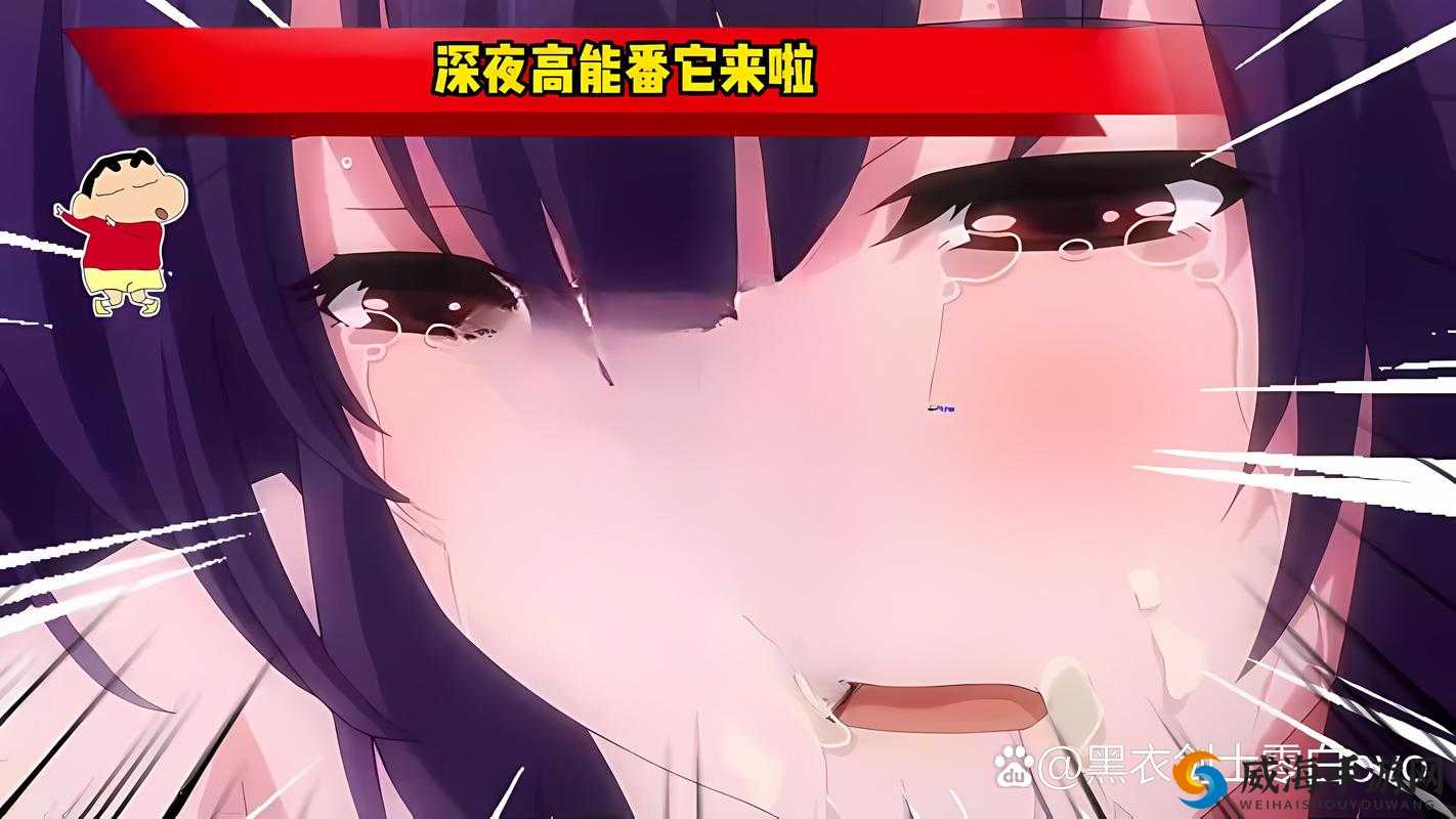 免费看的WWW哔哩哔哩动漫全解析：热门番剧推荐与最新更新速递，精彩剧情不容错过