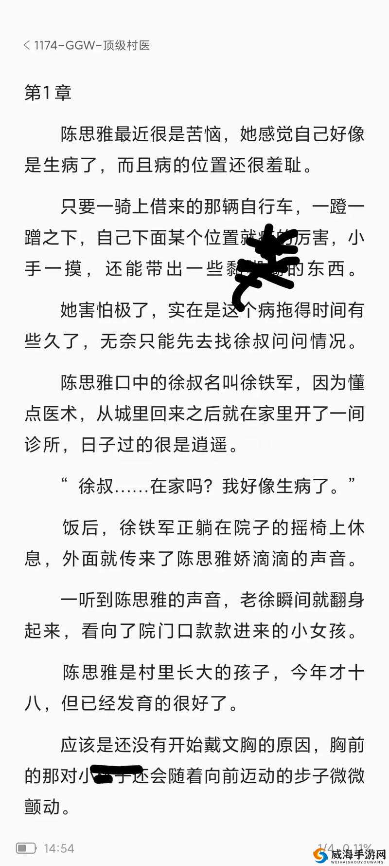 顶级村医全文免费TXT下载：乡村医生的传奇故事与医疗智慧
