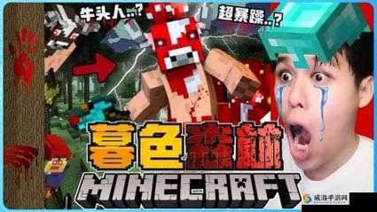 暴躁老外玩Minecraft：从新手到高手的爆笑挑战全过程大揭秘