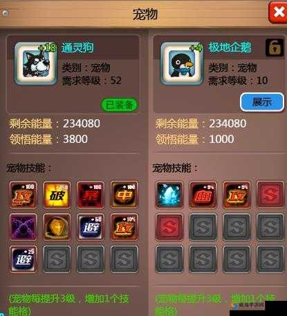 乱斗堂3新手入门攻略，外套与宠物的选择