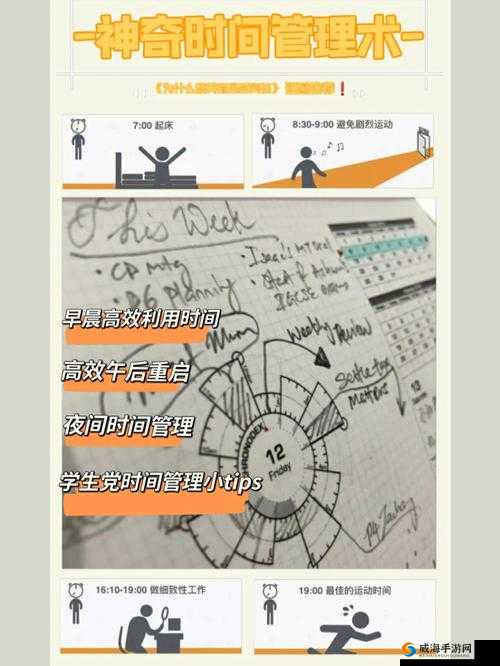 探索曰皮大免费30分钟服务：如何充分利用这段时间提升效率与体验？