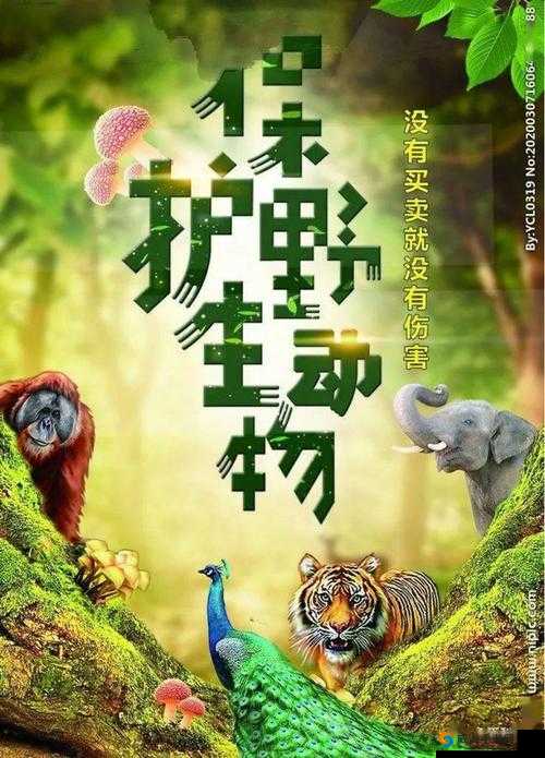 人与兽xxxxxxxx：探索自然界中人类与动物关系的奥秘与和谐共存之道