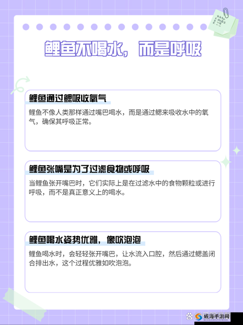 女人绝技鲤鱼喝水的秘密：如何掌握这一独特技巧并轻松实现