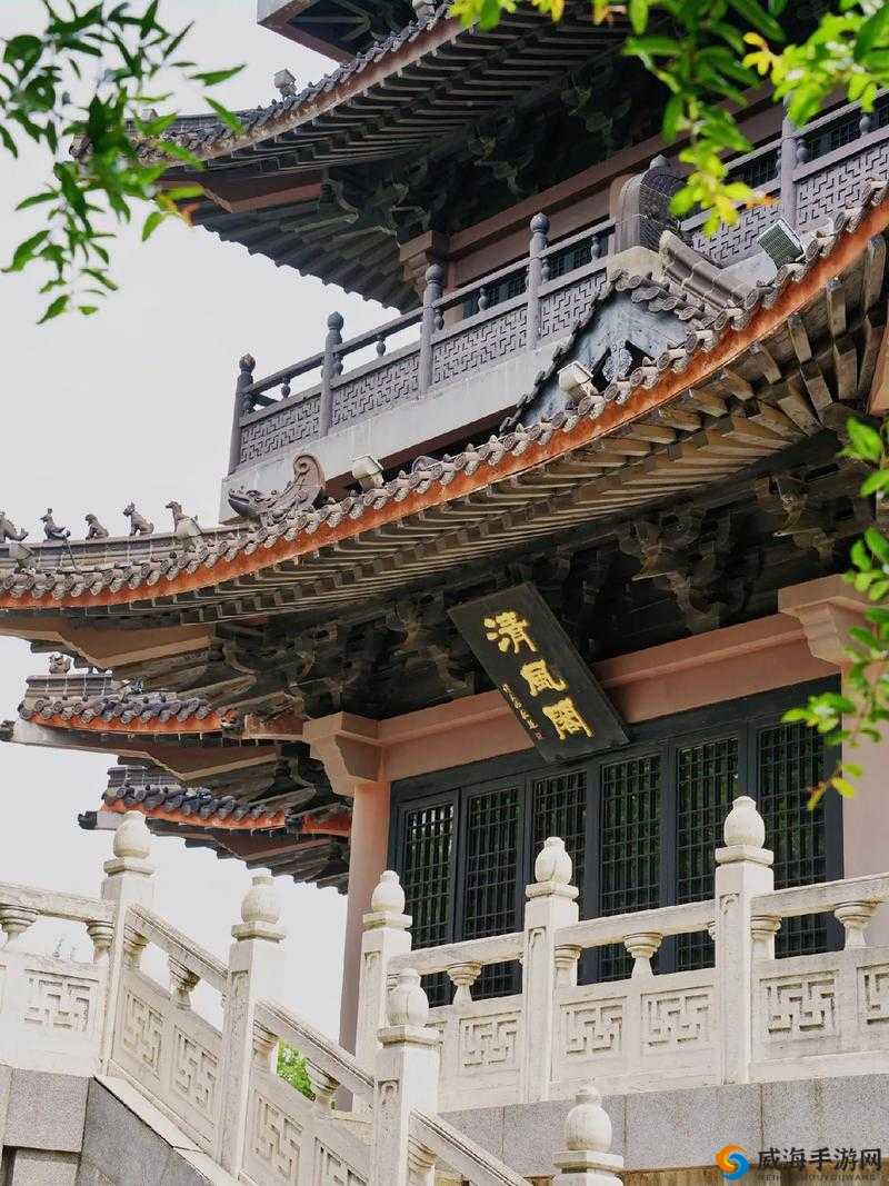 清风阁视频精选：探索最新热门内容，揭秘独家幕后花絮与深度解析