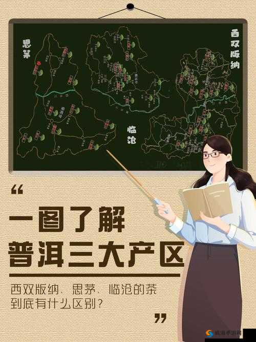 如何区分久一线产区、二线产区和三线产区？全面解析各产区特点与选择指南