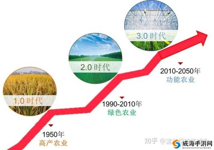 开垦妈妈肥沃的土地好吗？探讨家庭农场发展与生态农业的未来趋势