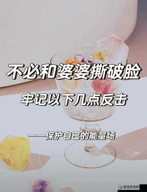 苏家小媳妇1V3:家庭纷争背后的情感纠葛与智慧较量