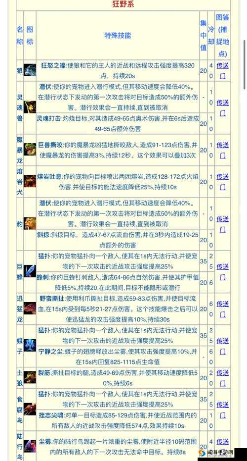 热血猎人新手副本攻略，猎人使用推荐在资源管理中的重要性及技巧
