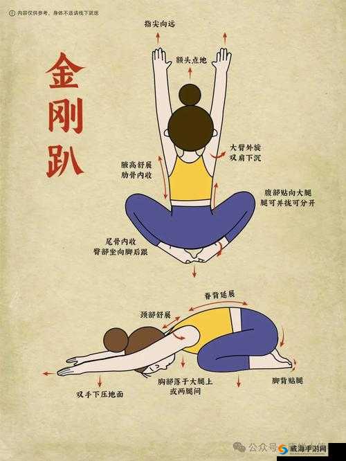 坐着轮流提双腿的惊人效果:如何通过简单动作提升健康与体能?
