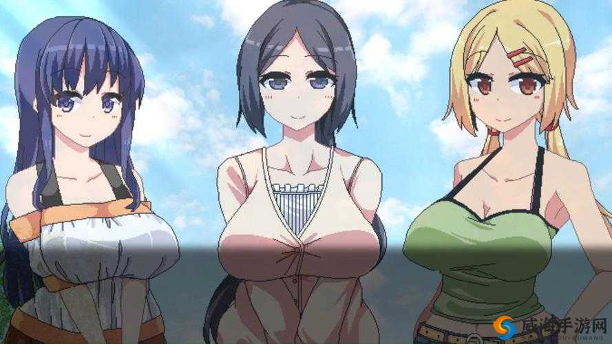 夏日狂欢祭，热情与冒险的交响曲