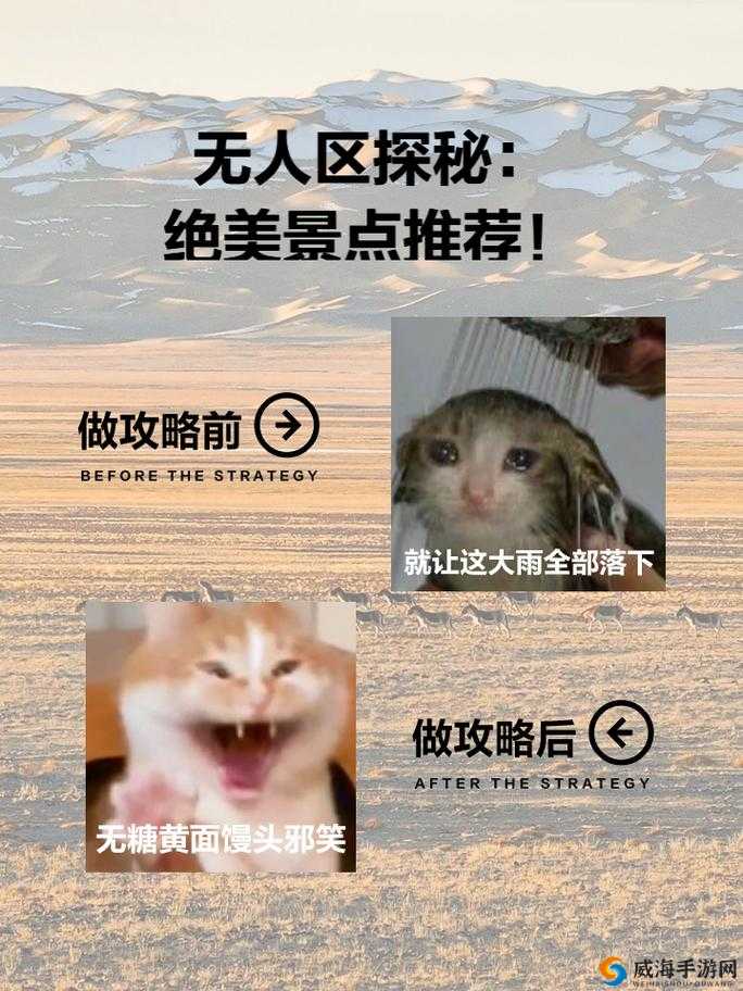 探索国产无人区一卡2卡三卡4卡仙的神秘魅力：详细解析与使用技巧