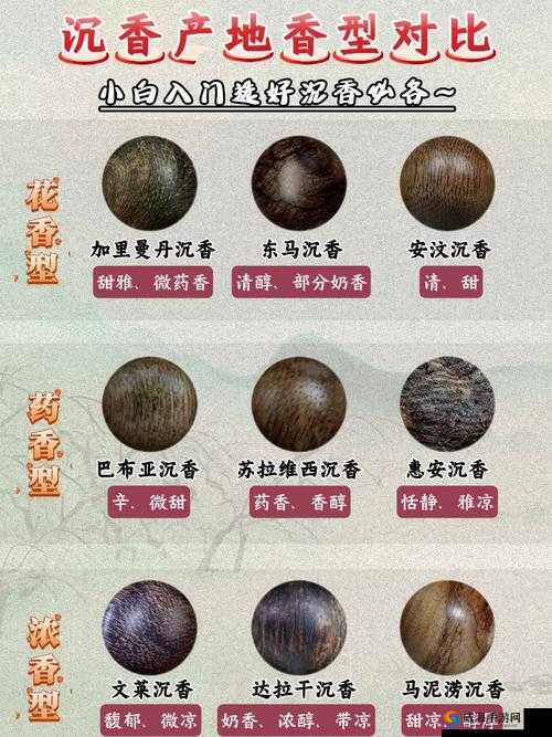 沉香产区一线与二线对比分析：哪些地区的沉香更值得收藏与投资？