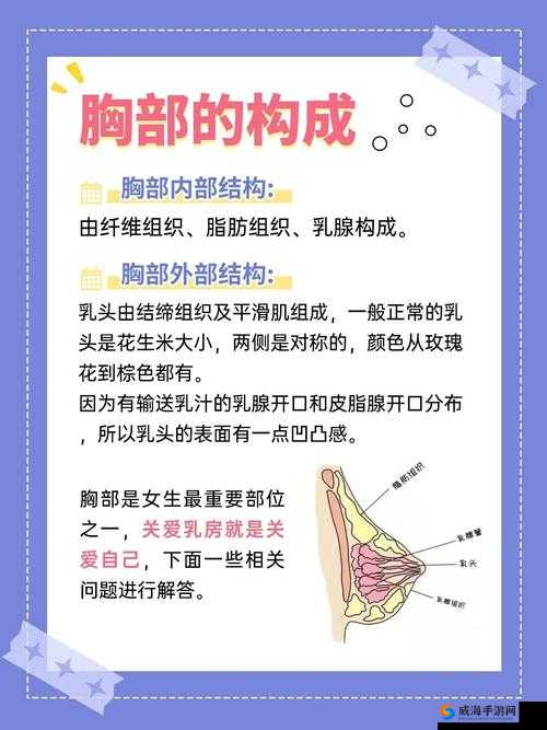 18岁女生乳房捏起来中间有硬块，可能是什么原因？如何判断是否正常？