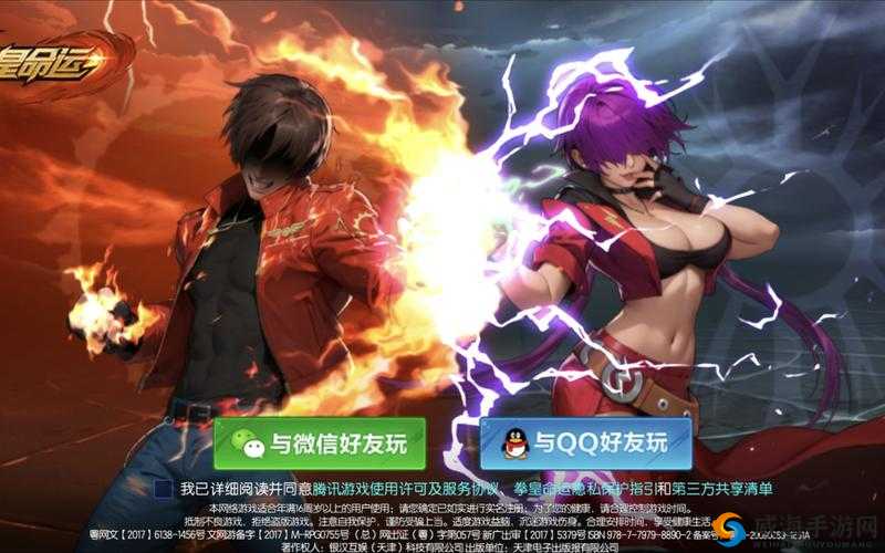 拳皇命运VIP购买推荐，价格特权详细一览在资源管理中的重要性及高效利用策略