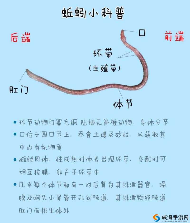 创造与魔法蚯蚓在哪里？蚯蚓有什么作用？