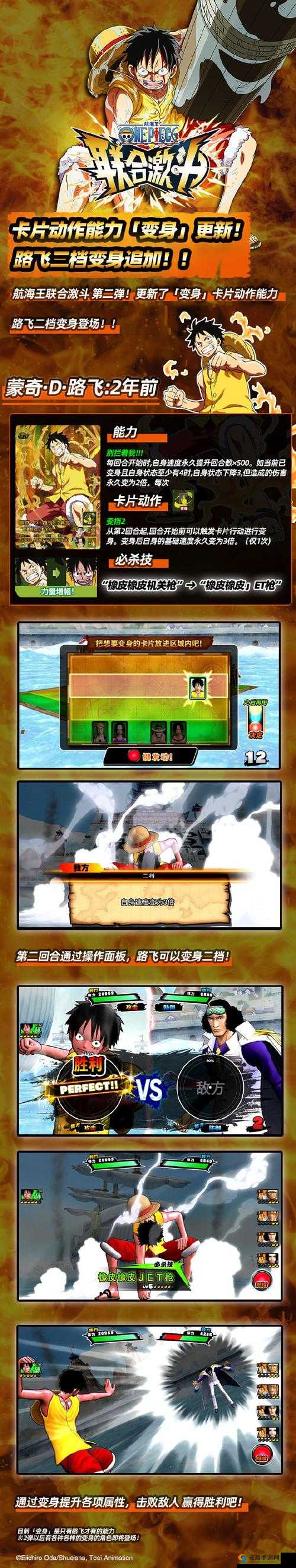 航海王激战，硬币的奥秘与实战应用