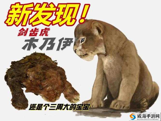 太极熊猫3猎龙剑齿虎怎么样？剑齿虎技能属性介绍