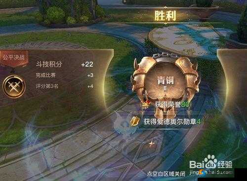 光明大陆善意勋章的获取与管理策略