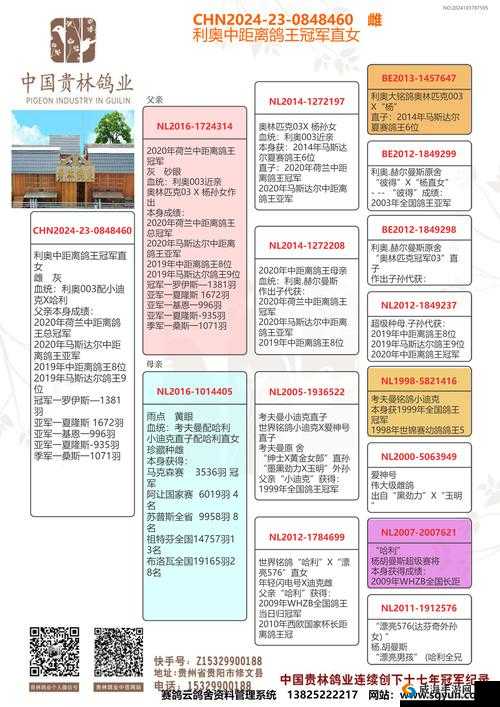 王权Reigns如何获取帅鸽王，Reigns与鸽子谈恋爱的演变史专题