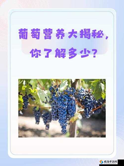 提问：如何确保葡萄不准掉出来且晚上检查能顺利进行？相关方法大揭秘